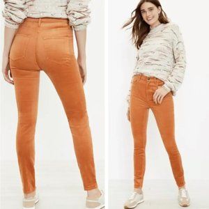NEW Ann Taylor LOFT The Skinny High Rise Corduroy Pant Light Sienna Tan Size 24